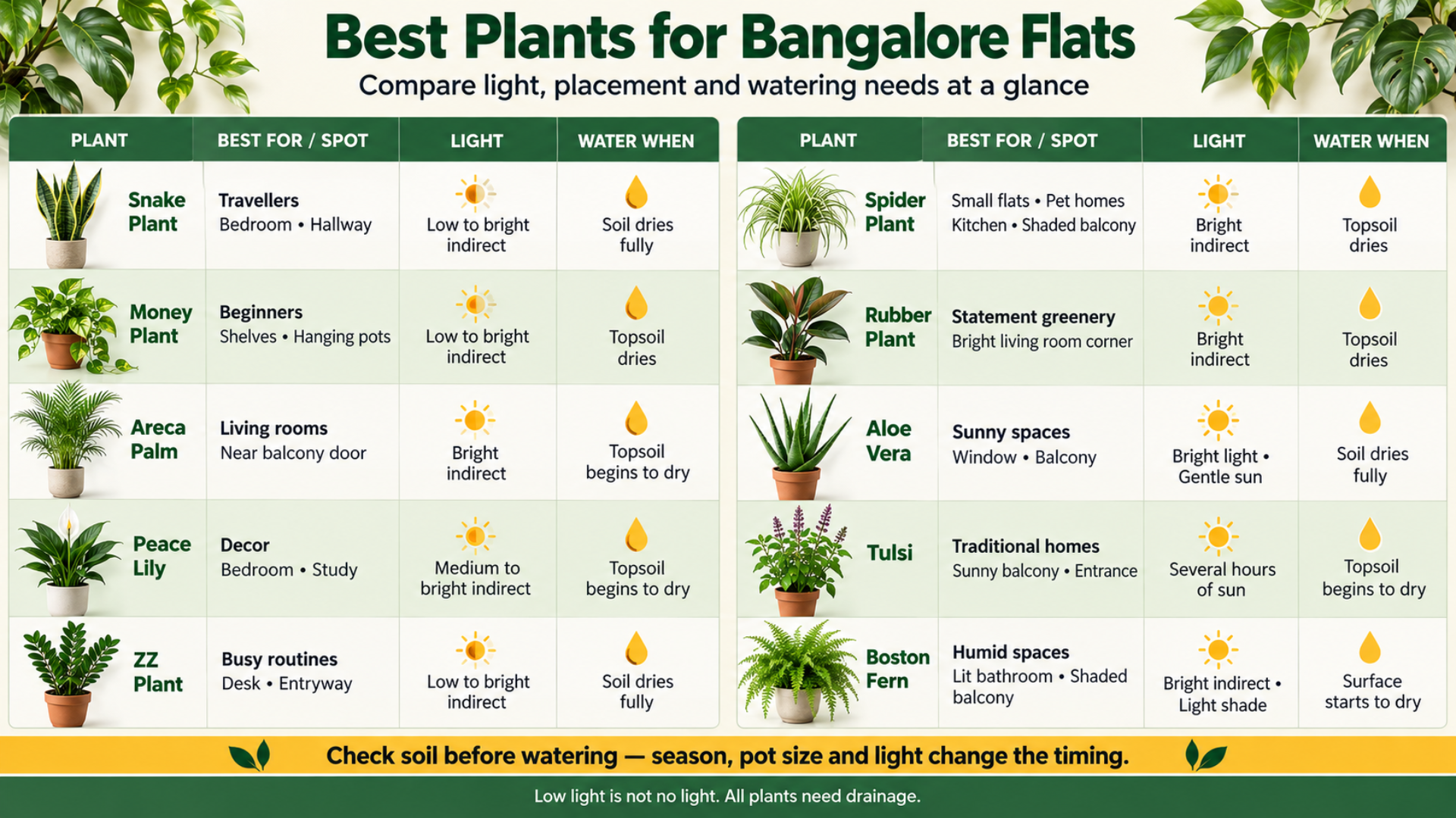 List of best plants for Bangalore flats